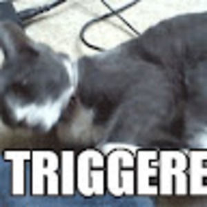 Meet your Posher, Riley